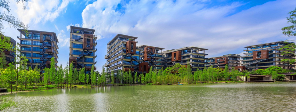 太陽能路燈，太陽能廠家，太陽能價格