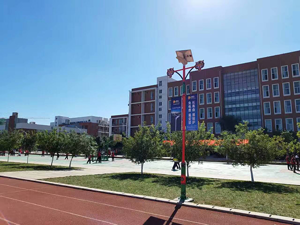 太陽能路燈，太陽能路燈廠家，太陽能路燈價格