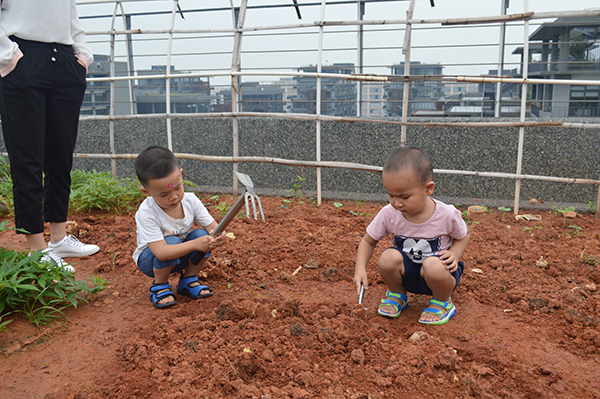 太陽能路燈，太陽能路燈廠家，太陽能路燈價格