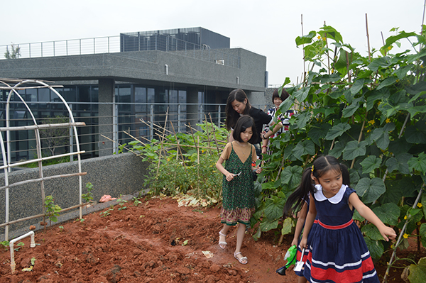 太陽能路燈，太陽能路燈廠家，太陽能路燈價格