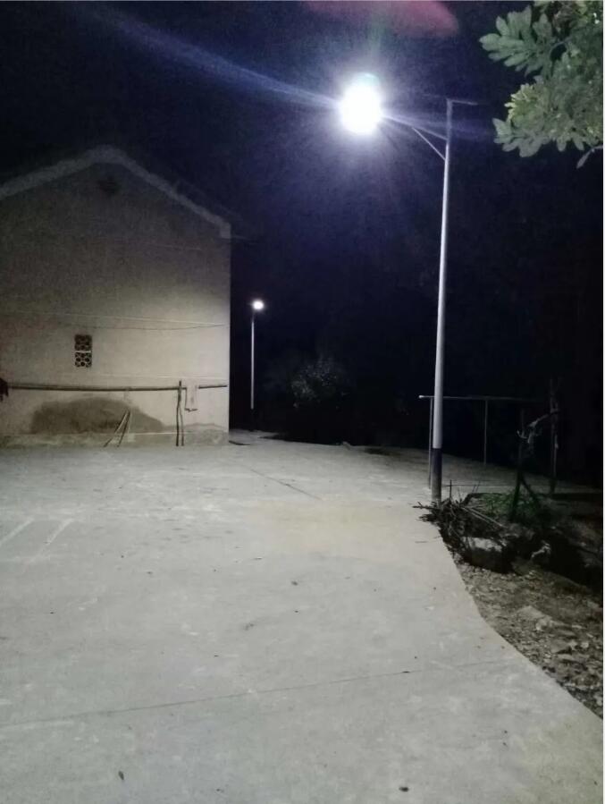 晴空排云雁高飛，源碼項(xiàng)目掀熱潮