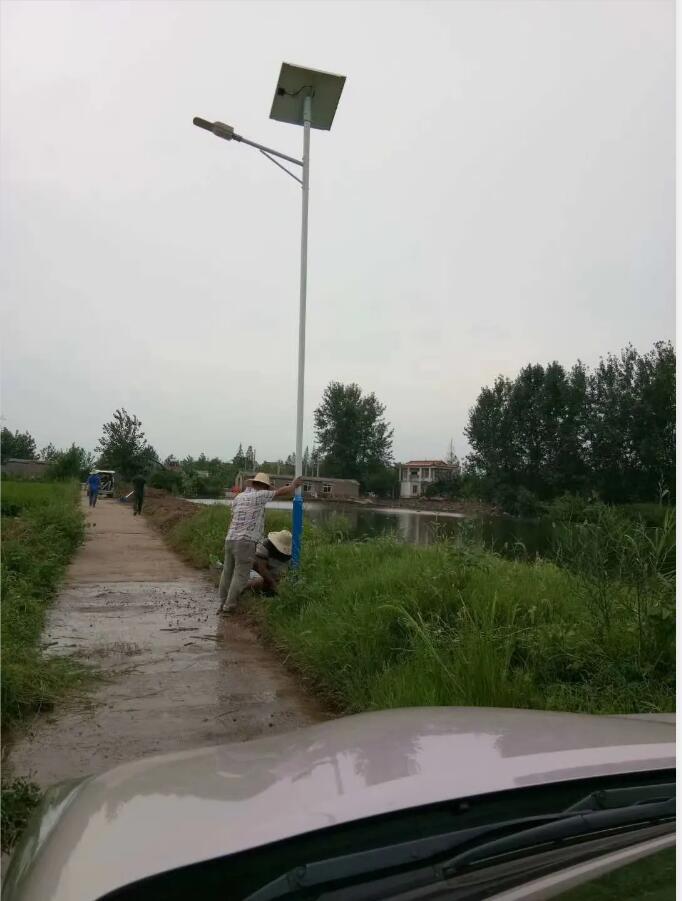 晴空排云雁高飛，源碼項(xiàng)目掀熱潮