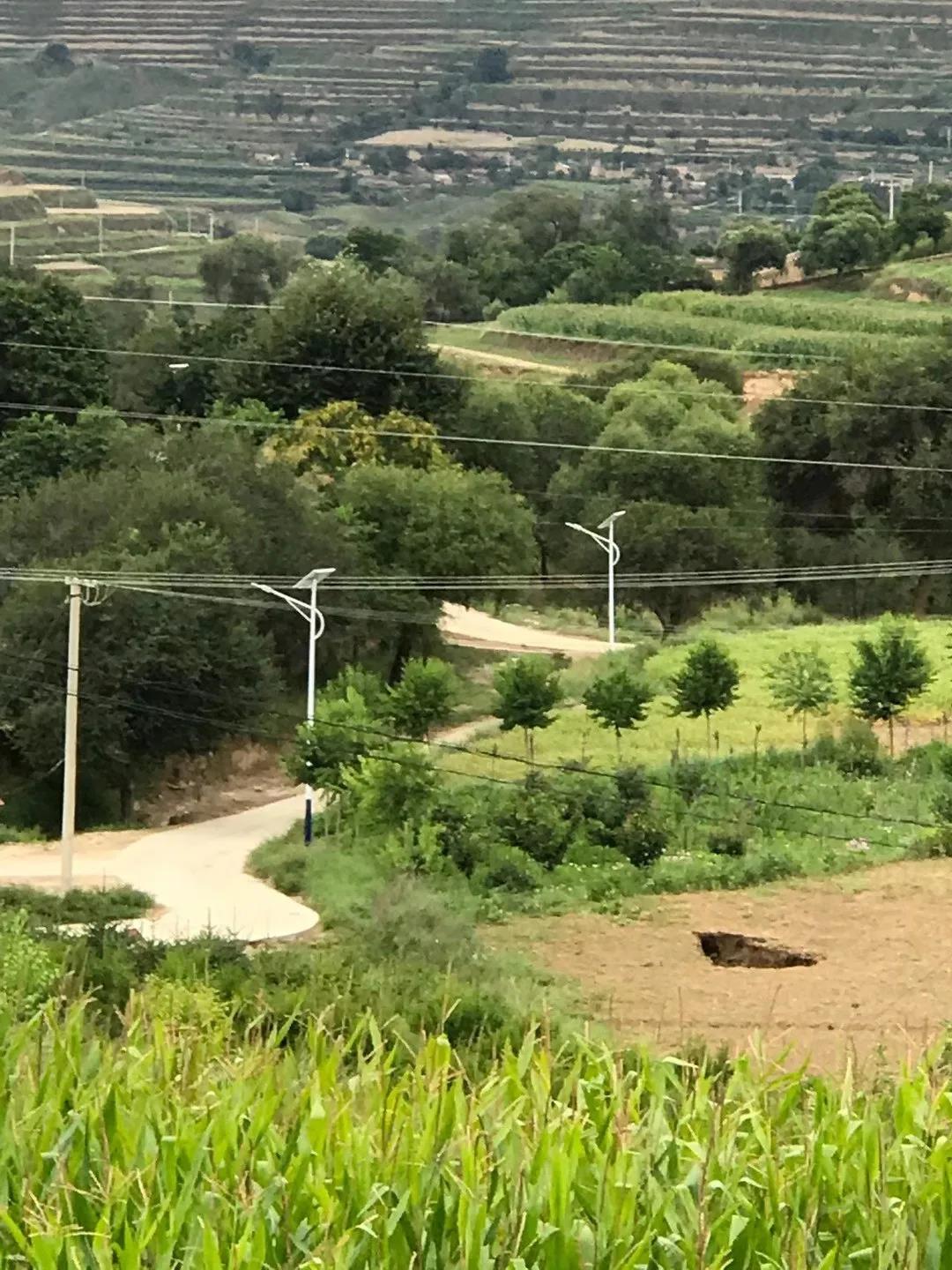 案例賞析〡云雁高飛，助力鄉村振興