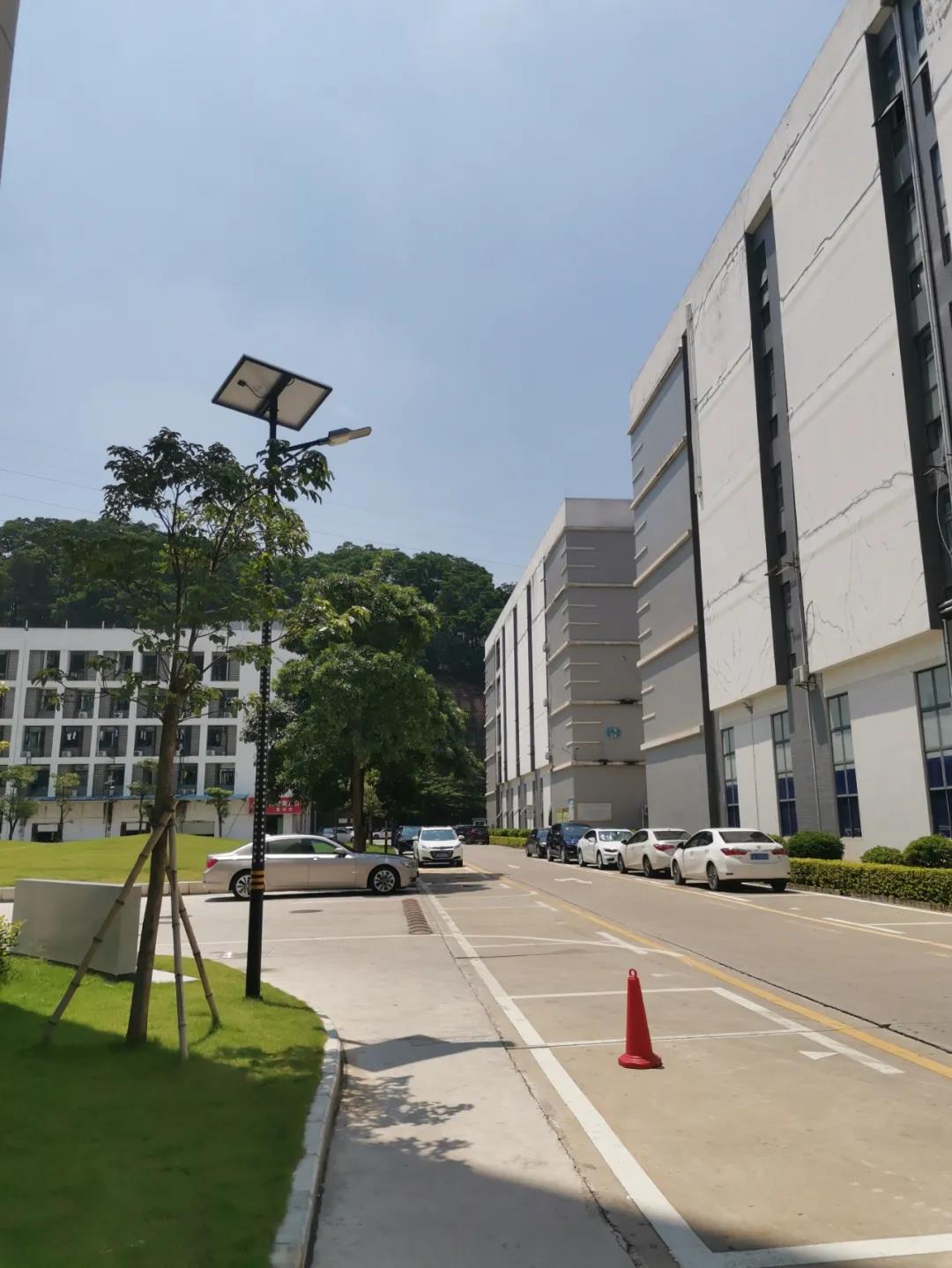 案例賞析〡云雁高飛，助力鄉村振興