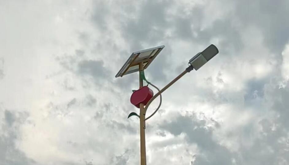 太陽能草坪燈：綠色能源